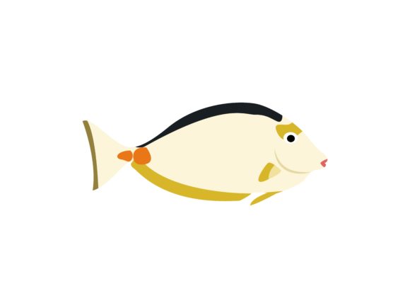 Acanthuridae Fish Animal: Creative Versatility Unleashed