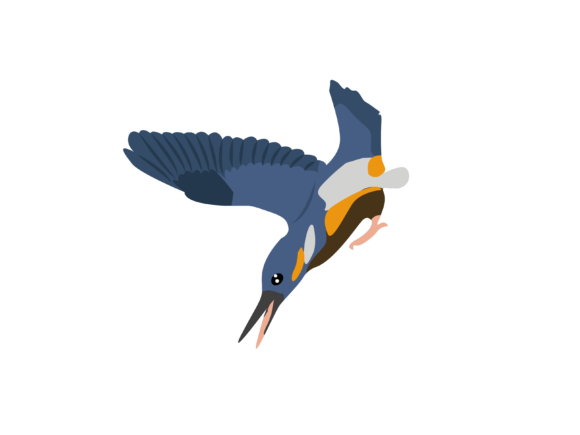 Alcedinidae Bird Flaying Dawn Animal: A Designer's Visual Asset