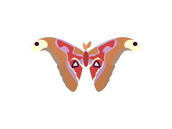 Atlas Butterfly Animal: A Designer's Guide to This Versatile Asset
