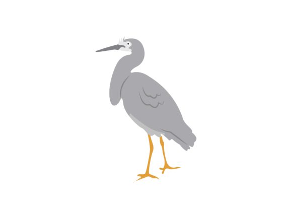 Brown Pelicans Bird Animal: A Guide to This Bold Illustration