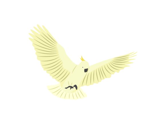 Cacatuida Spread Wings: A Dynamic Bird Animal Illustration