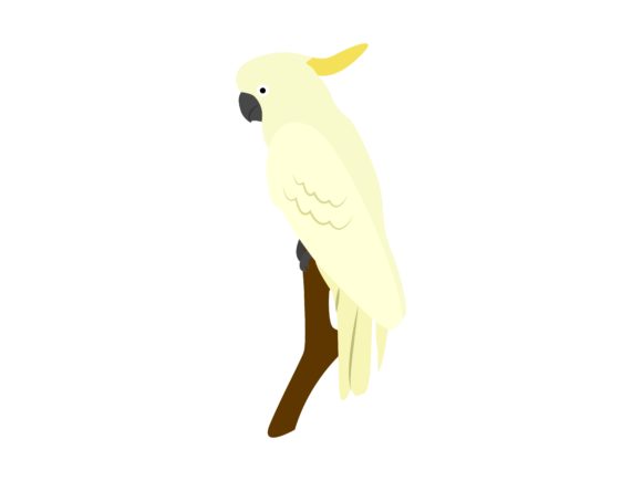 Cacatuidae Standing Bird Animal: Design With Personality