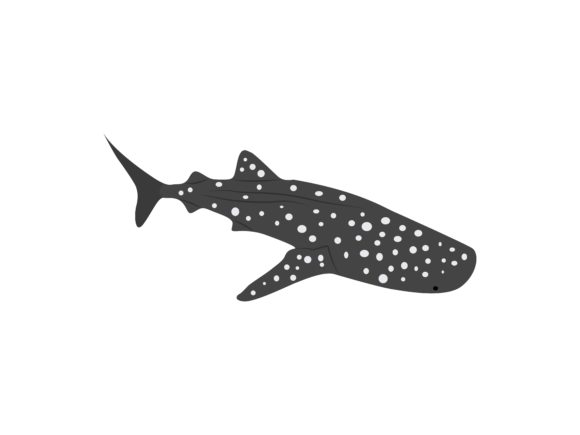 Cat Sharks Fish Animal: A Deep Dive into This Unique Illustration