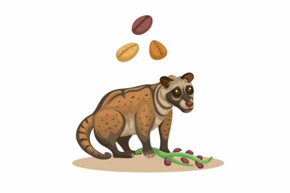 Civet Animal & Asian Traditional Coffee: A Design Asset with a Wild Soul