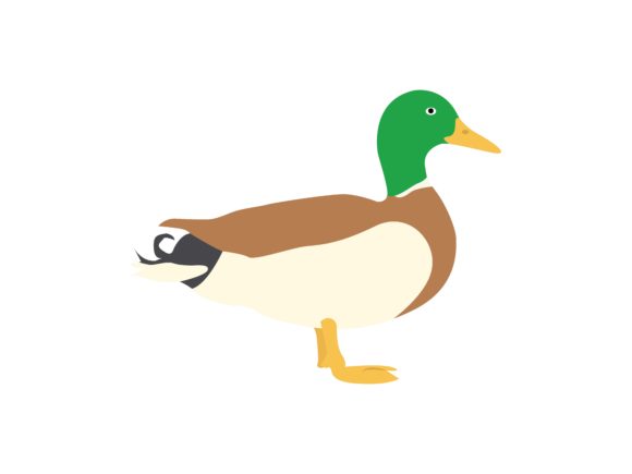 Duck Animal: The Quirky Typeface for Modern Branding