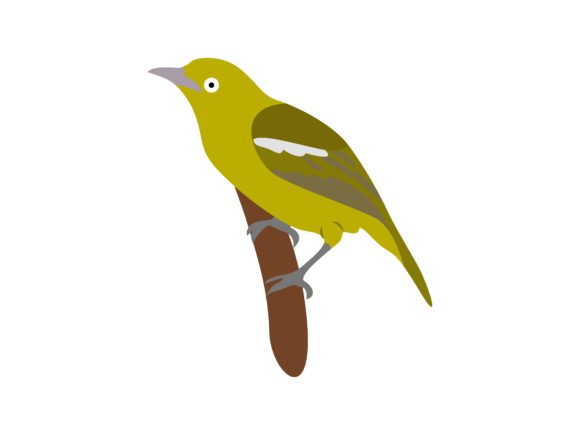 Green Bird Animal: A Whimsical Asset for Modern Creators