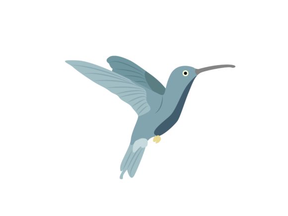 Hummingbirds Animal: A Dynamic Illustration for Modern Design