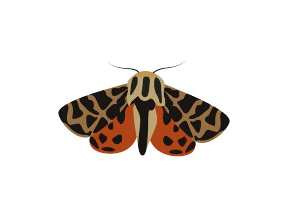 Isabela Tiger Moth: A Designer's Guide to This Vibrant Asset