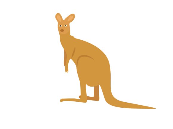 Kangaroo Animal: Unleashing the Spirit of Australia in Your Design Projects