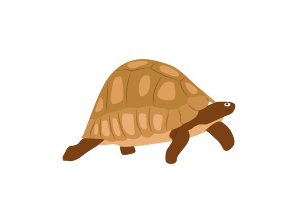 Land Tortoise Animal: A Guide to Using This Illustration Asset