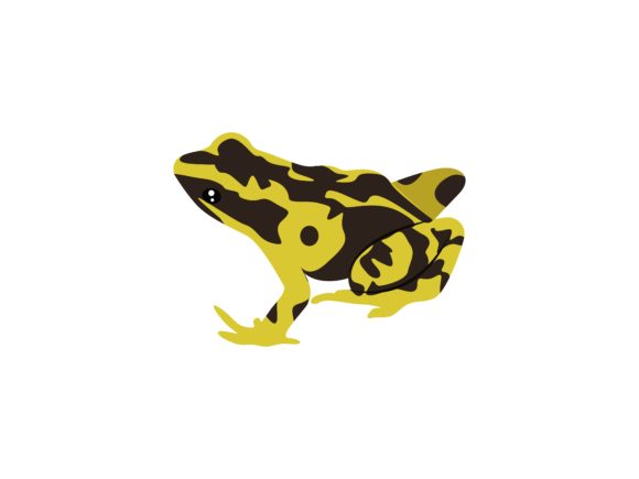 Mantela Frog Animal: A Vibrant Asset for Creative Projects