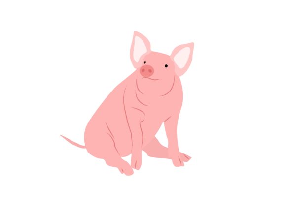 Pig Sit Animal: Adorable Illustrations for Creative Projects