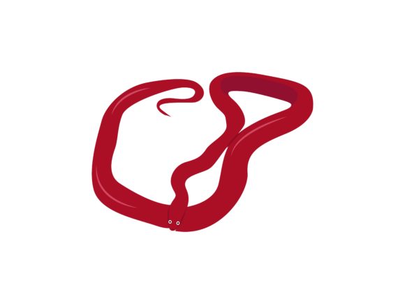 The Allure of the Bloodred Corn Snake Animal: A Designer's Visual Guide