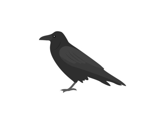 The Crow Bird Animal Illustration: A Design Asset for Every Creator