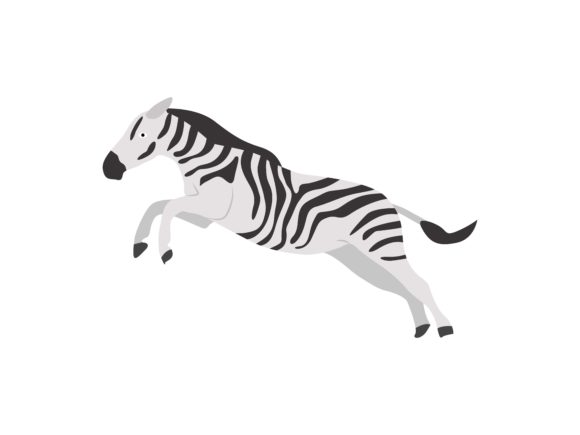 The Energetic Appeal of Zebra Jumping Animal