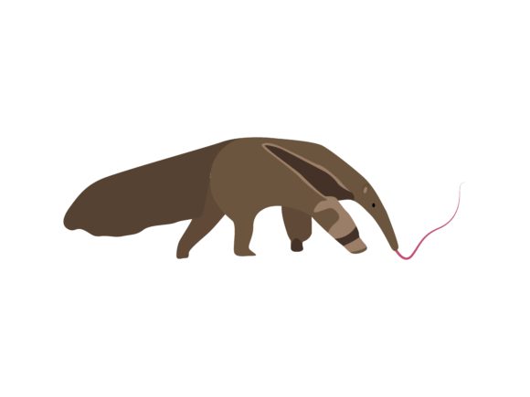 The Giant Anteater Animal: A Wildly Versatile Design Asset