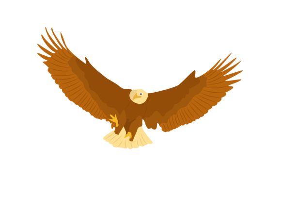 The Power of the Eagle: Mastering Visual Impact with Eagle Pread Wings