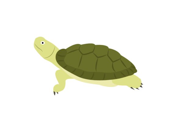 The Timeless Appeal of the Green Turtle Animal in Modern Design