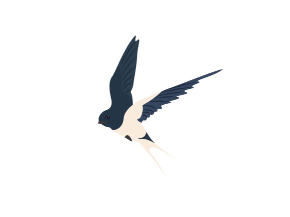 The Versatile Swallow Flying Bird: A Designer's Guide to This Animal Illustration