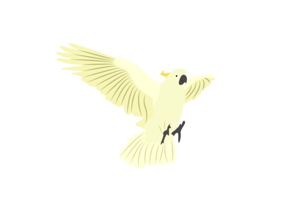 The Visual Charm of the Cacatuidae Flaying Bird Animal Illustration