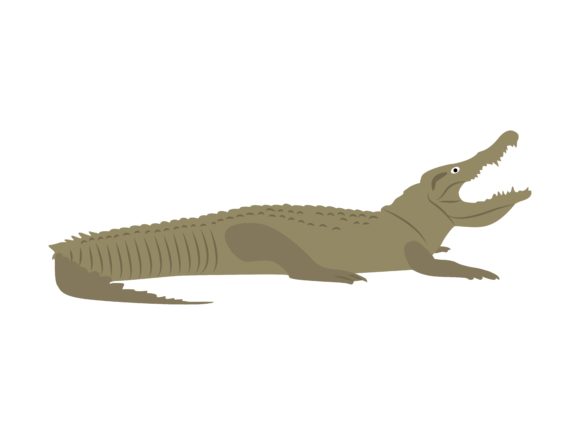 The Visual Power of the Crocodile Animal Illustration