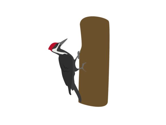 The Woodpecker Bird Animal: A Designer's Asset for Bold Branding