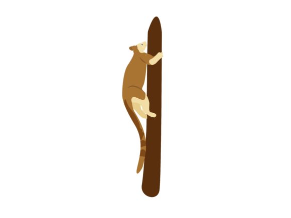 Tree Kangaroo Climb Up Animal: A Versatile Design Asset