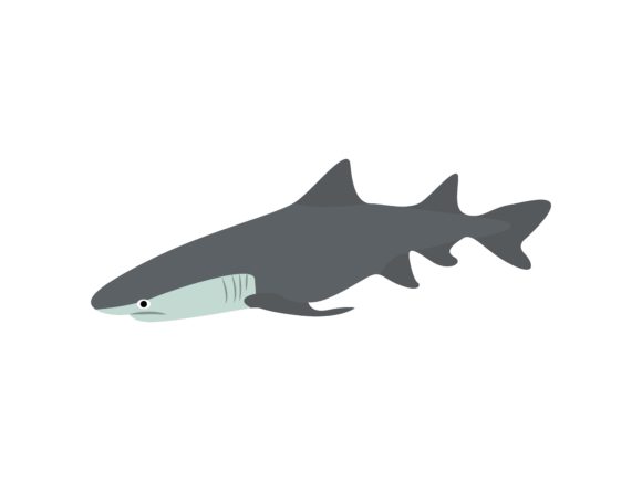 White Shark Fish Animal: Unleashing Creative Power
